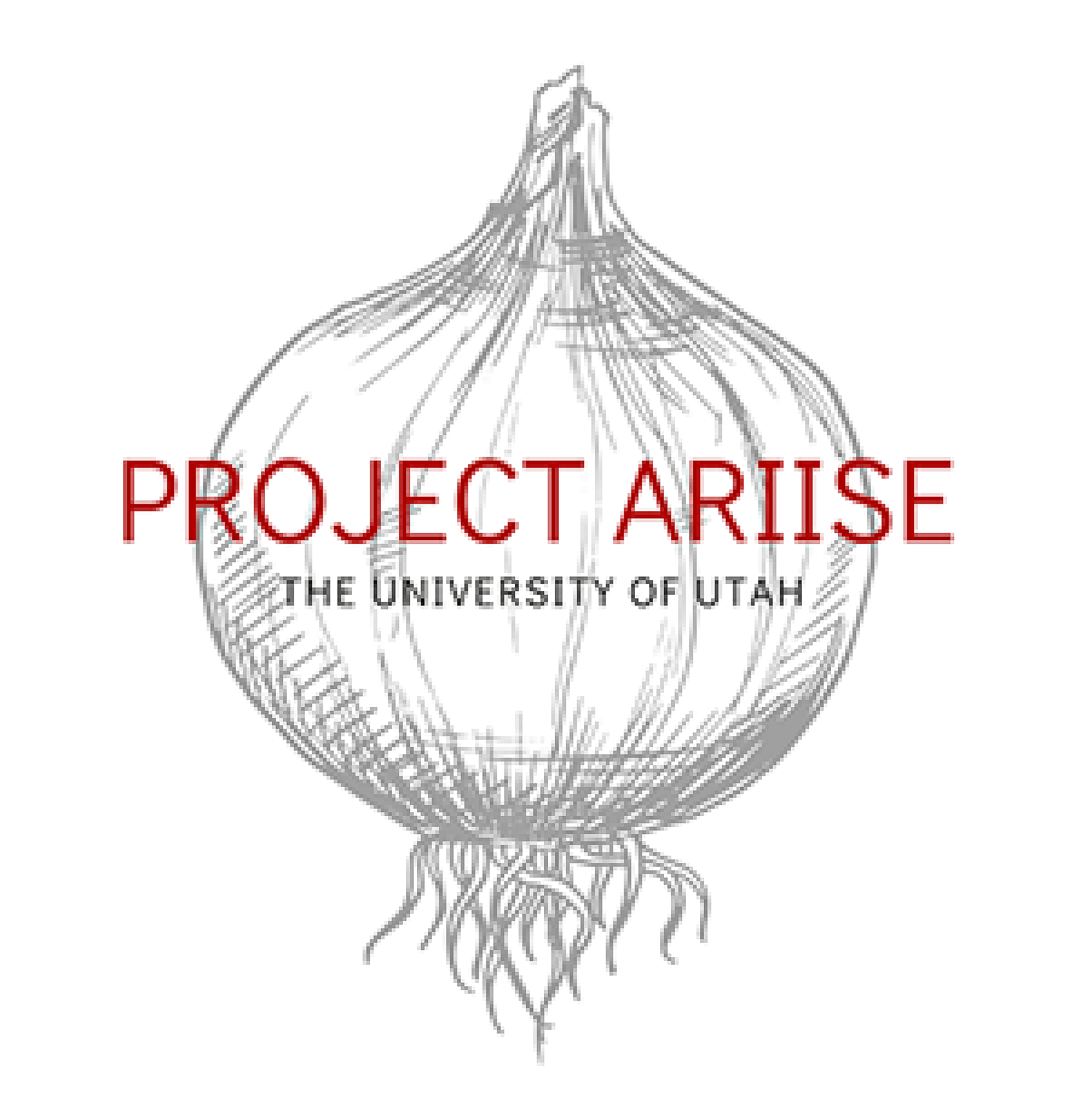 Project ARIISE logo, department of family planning